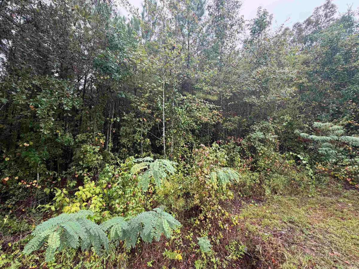0 Reaves Drive, Midway, FL 32343 - #1