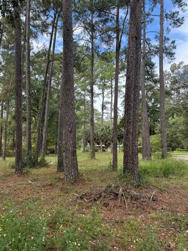 8636 Wakulla Springs Road, Tallahassee, FL 32305
