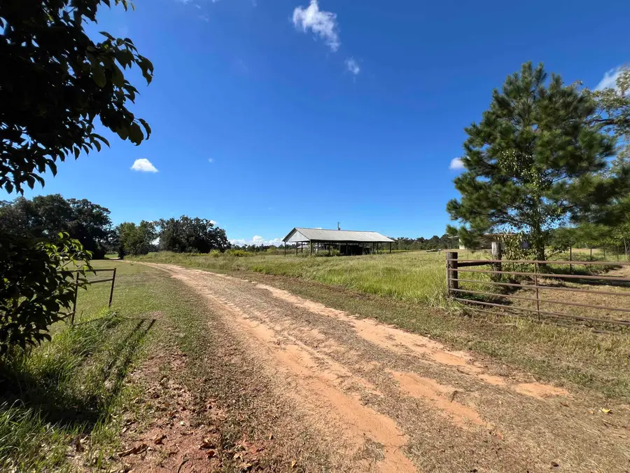 258 Harbin Road, Quincy, FL 32351 - #3
