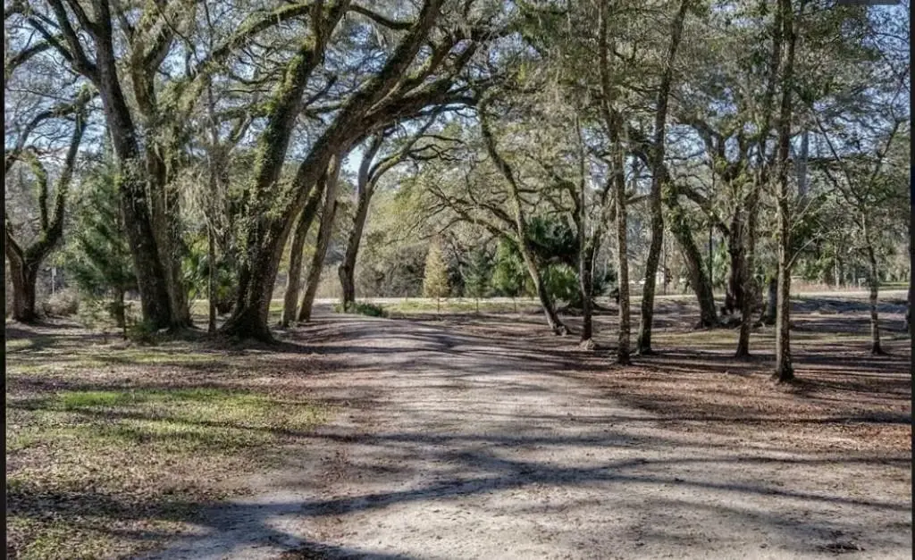 357 NE 434th Street, Cross City North, FL 32680 - #1