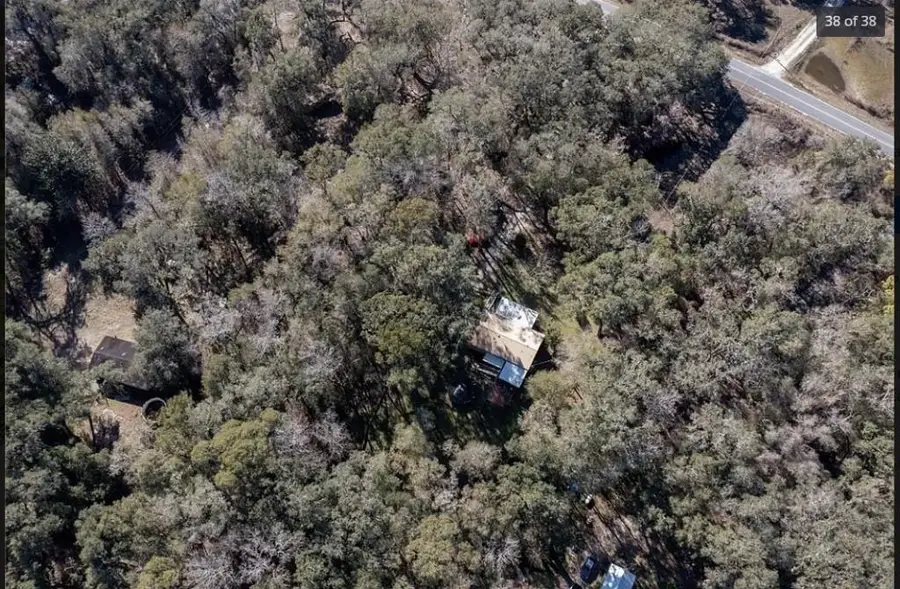357 NE 434th Street, Cross City North, FL 32680 - #3
