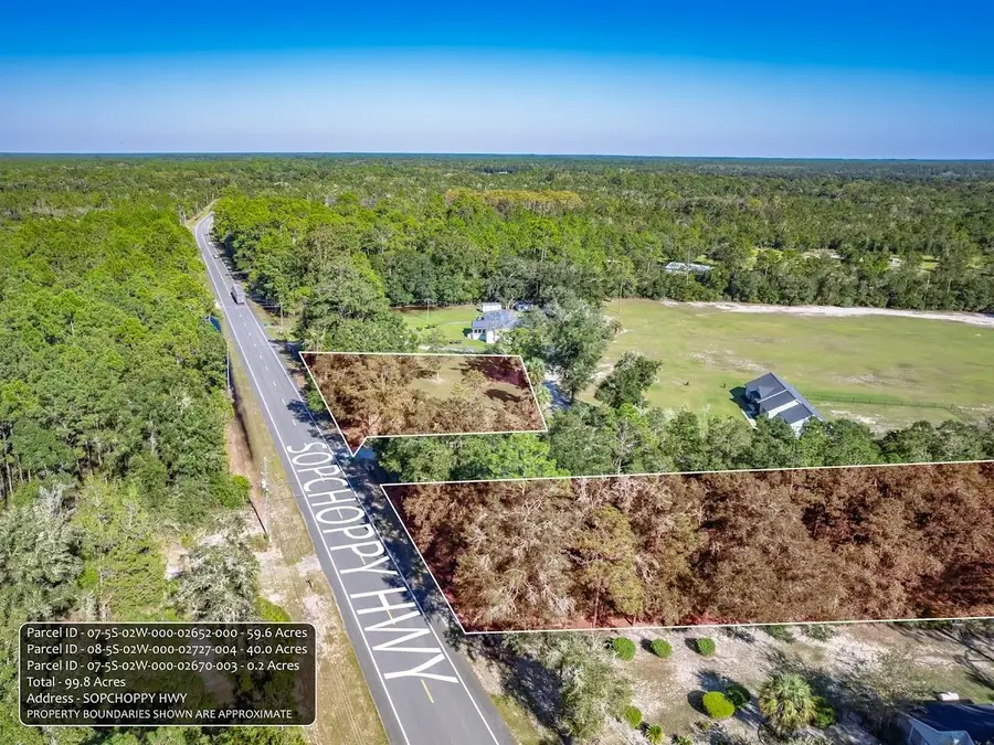 xx Sopchoppy Highway, Sopchoppy, FL 32358 - #3