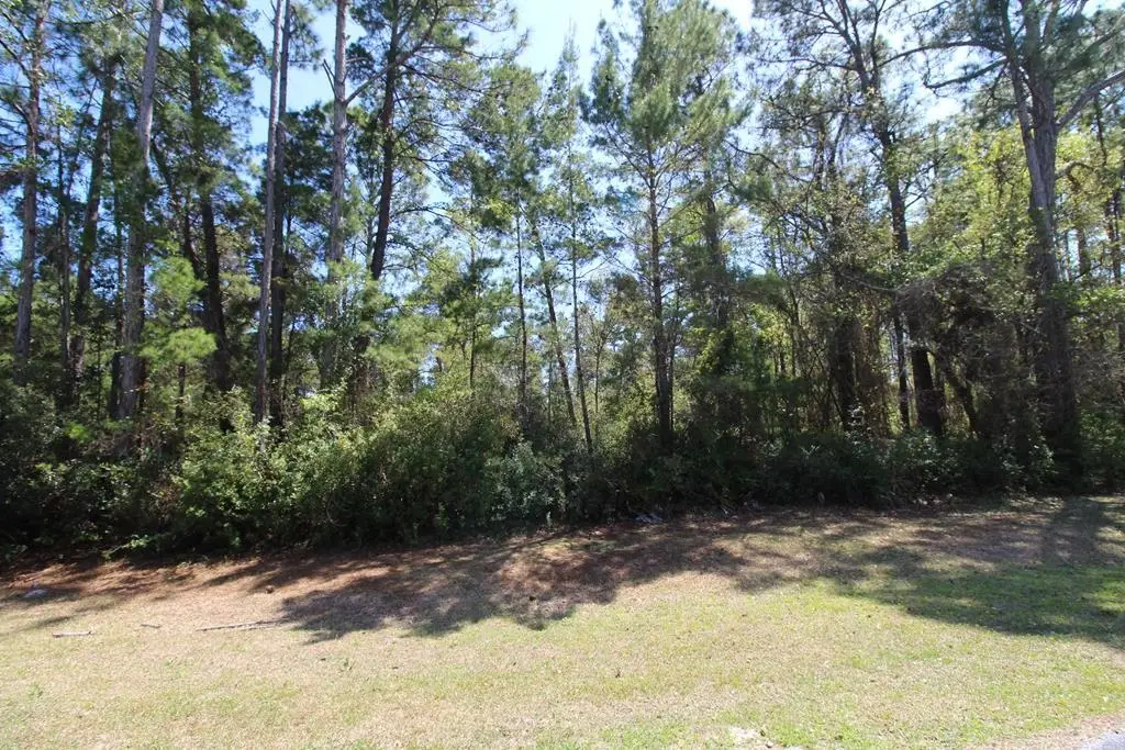 260 Boncycle Drive, Eastpoint, FL 32328 - #1