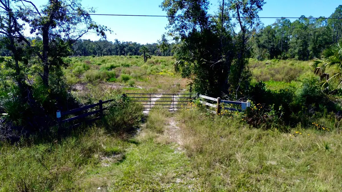 21809 W Us 98, Lamont, FL 32336 - #1