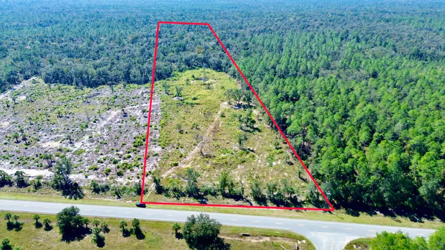 21809 W Us 98, Lamont, FL 32336 - #2