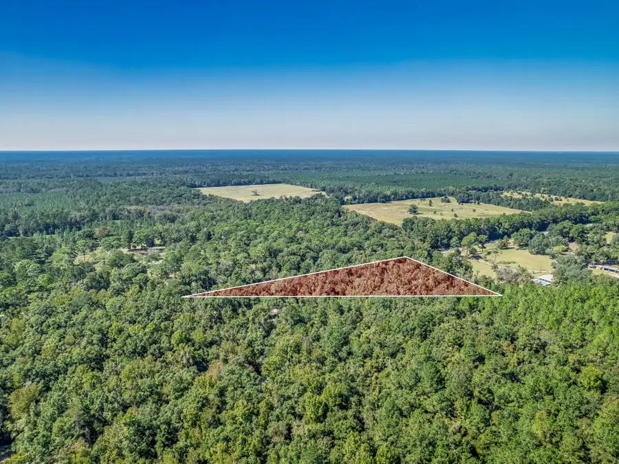 xx Old Shell Point Road, Crawfordville, FL 32327 - #3