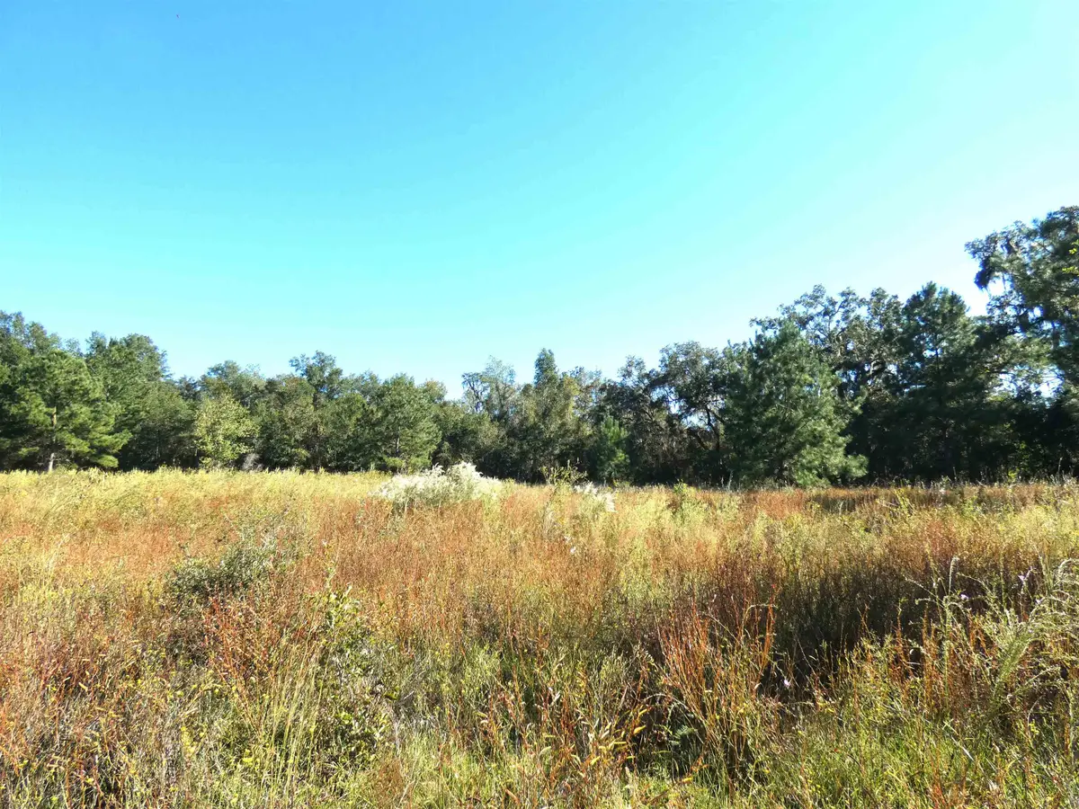 TBD Groover Road, Monticello, FL 32344 - #1