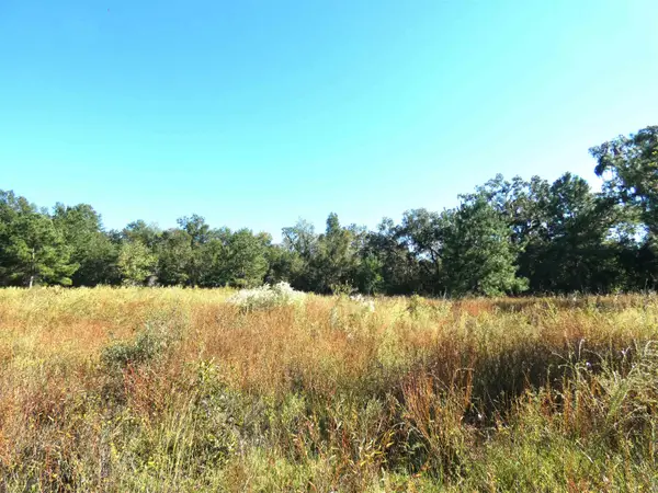 TBD Groover Road, Monticello, FL 32344