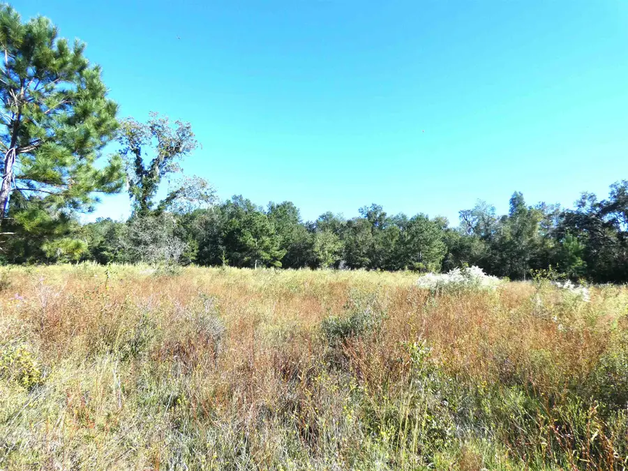 TBD Groover Road, Monticello, FL 32344 - #2