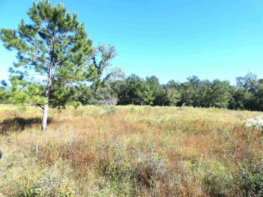 TBD Groover Road, Monticello, FL 32344 - #3