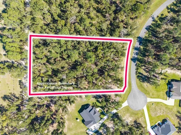 Vacant NE Oakwood Way, Pinetta, FL 32350