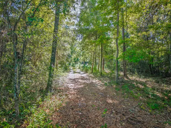XX Old Revell Road, Crawfordville, FL 32327