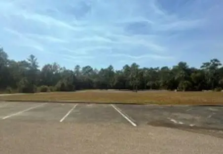 Lot O Burnt Pine Loop, Saint Marks, FL 32355 - #1