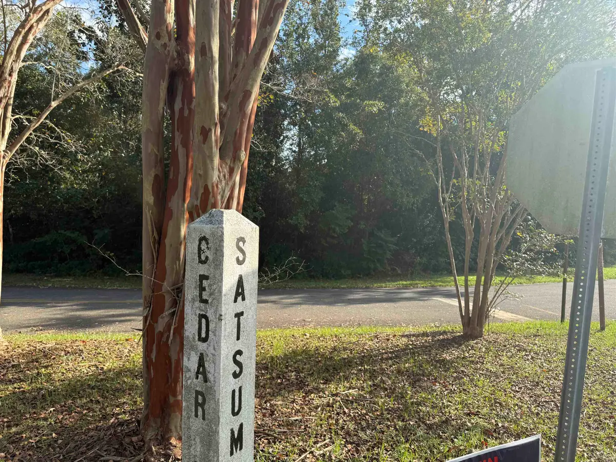 Satsuma Road, Chattahoochee, FL 32324 - #1