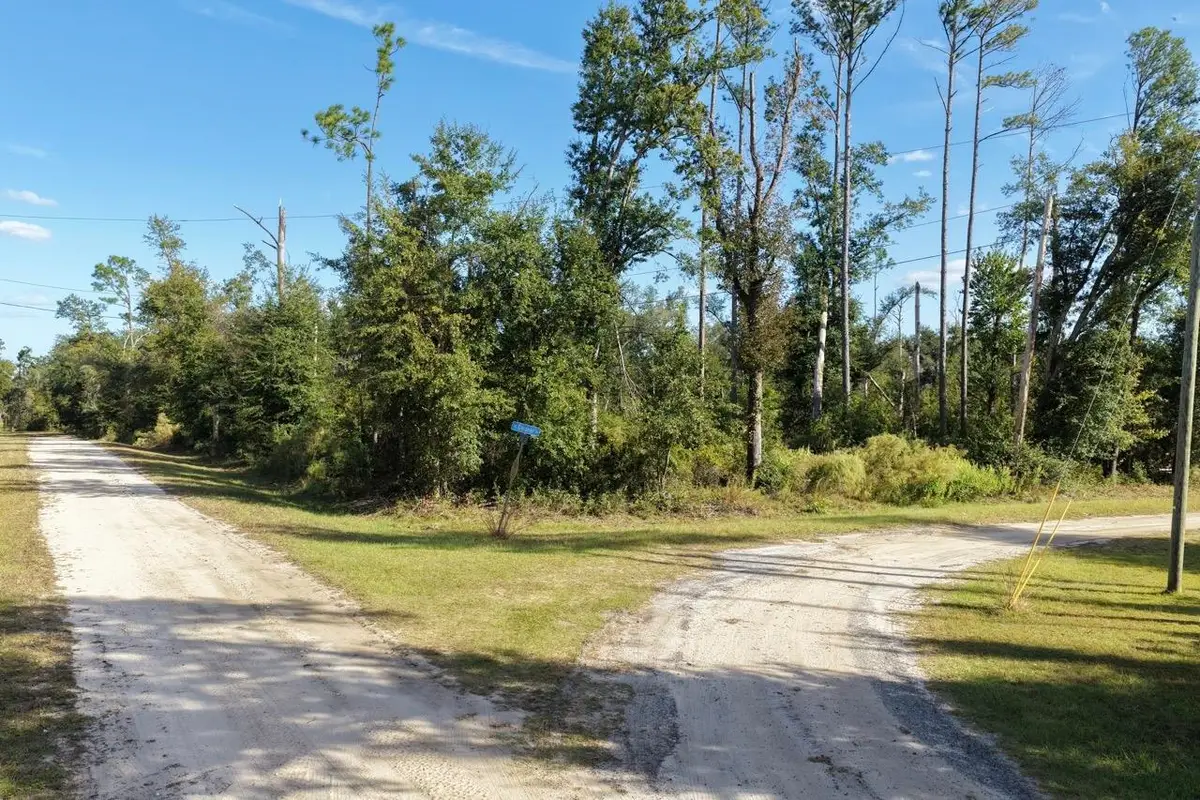 Vacant SW Hopewell Farms Road, Madison, FL 32340 - #1
