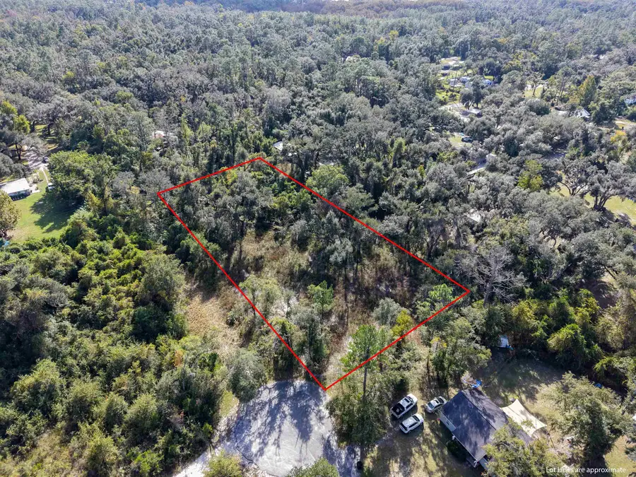00 Shady Oaks Road, Perry, FL 32348 - #2