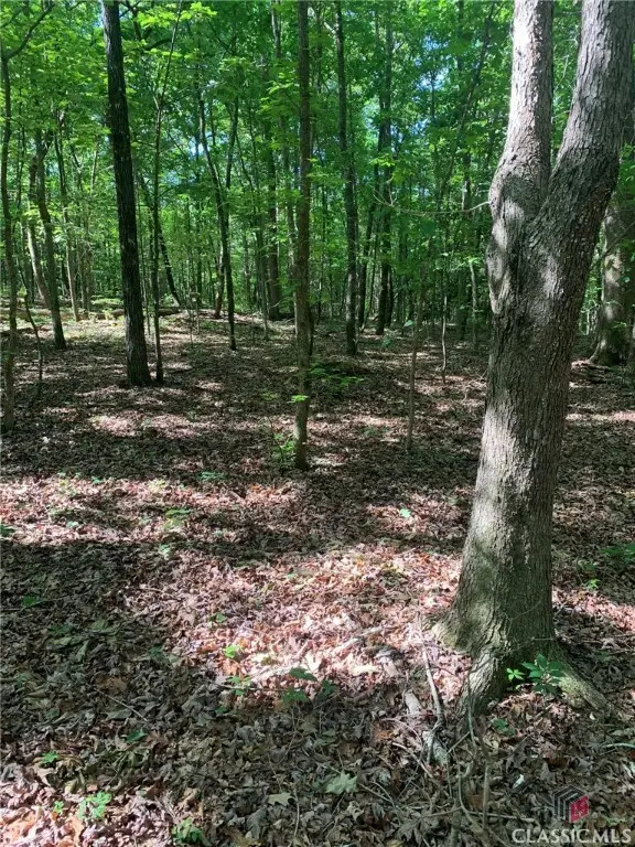 7700 Poole Circle #Tract A, Alto, GA 30510