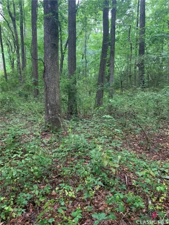 7700 Poole Circle #Tract B, Alto, GA 30510