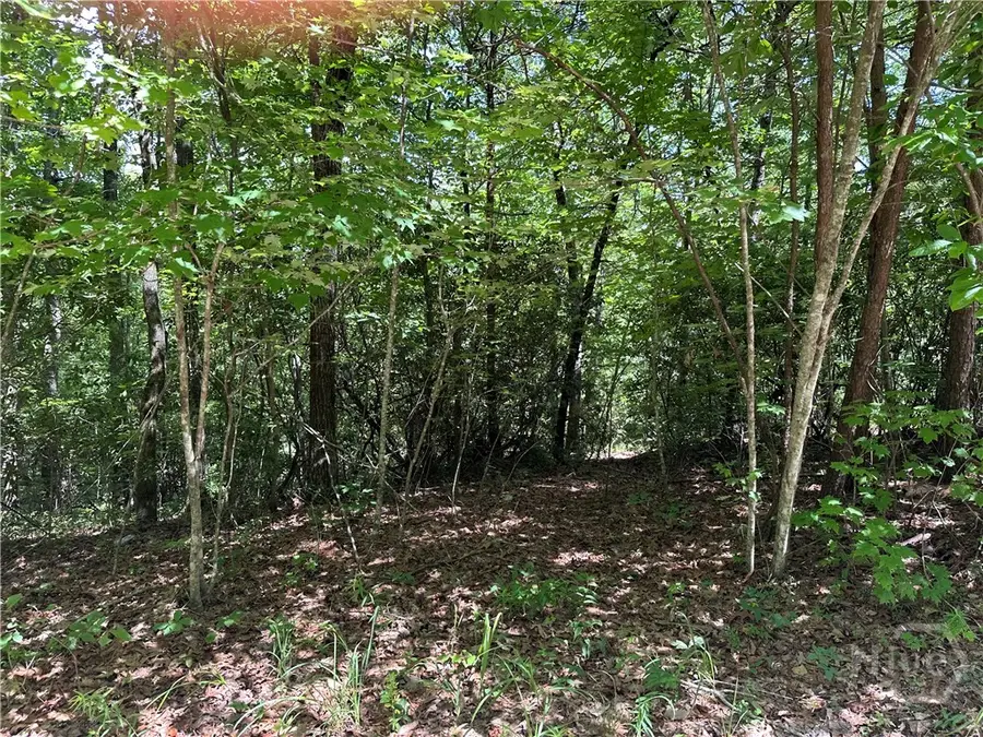 664 Gold Valley Road, Sautee Nacoochee, GA 30571 - Image #3