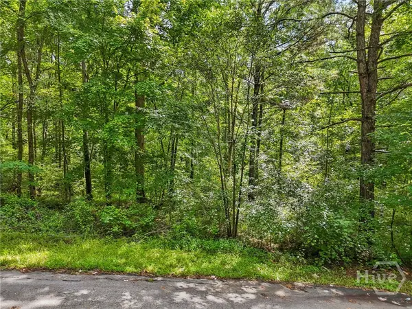 1040 Union Station Road, Greensboro, GA 30642