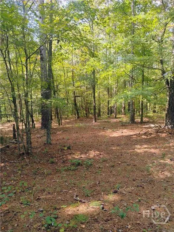 1541 Cordell Road, Bowman, GA 30624 - Image #2