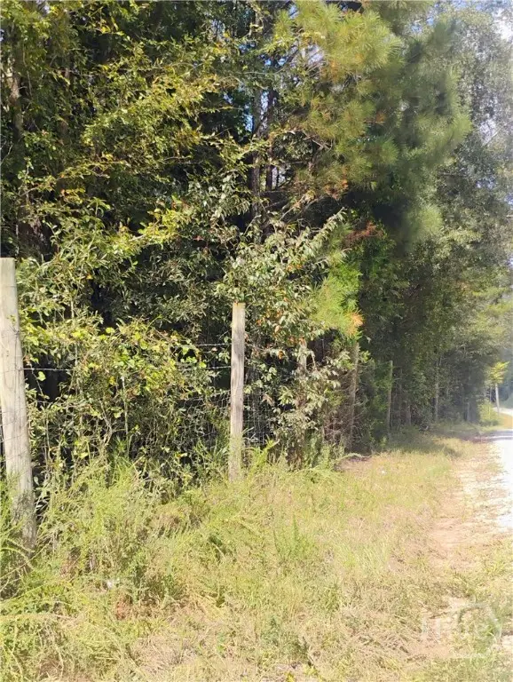 1541 Cordell Road, Bowman, GA 30624 - Image #3