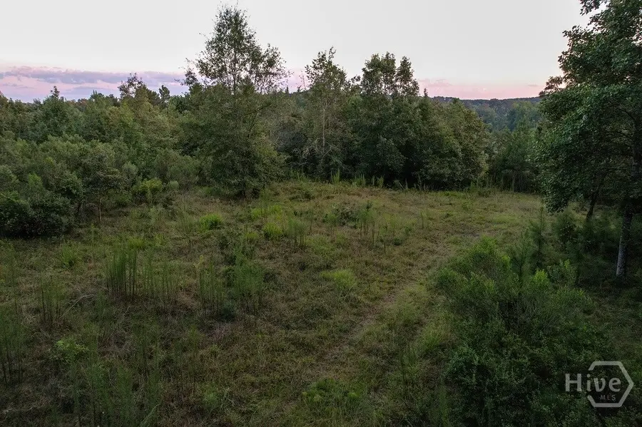 2660 Parham Town Road, Bowman, GA 30624 - Image #3