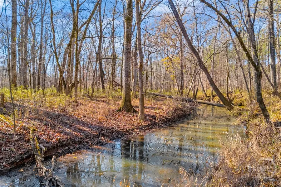 0 Smith Road, Carlton, GA 30627 - Image #2