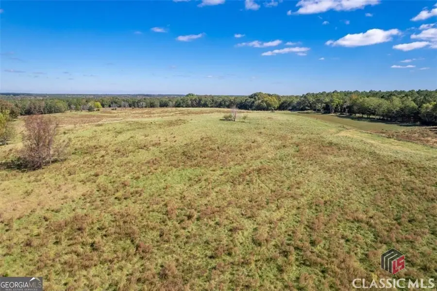 Lot 13 Wallace Road, Madison, GA 30650 - Image #3
