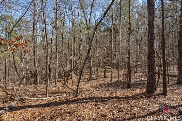 0 Kent Rock Road, Loganville, GA 30052