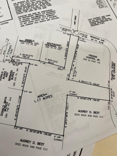 00 Register / Palmetta St, Reidsville, GA 30453 - Image #1