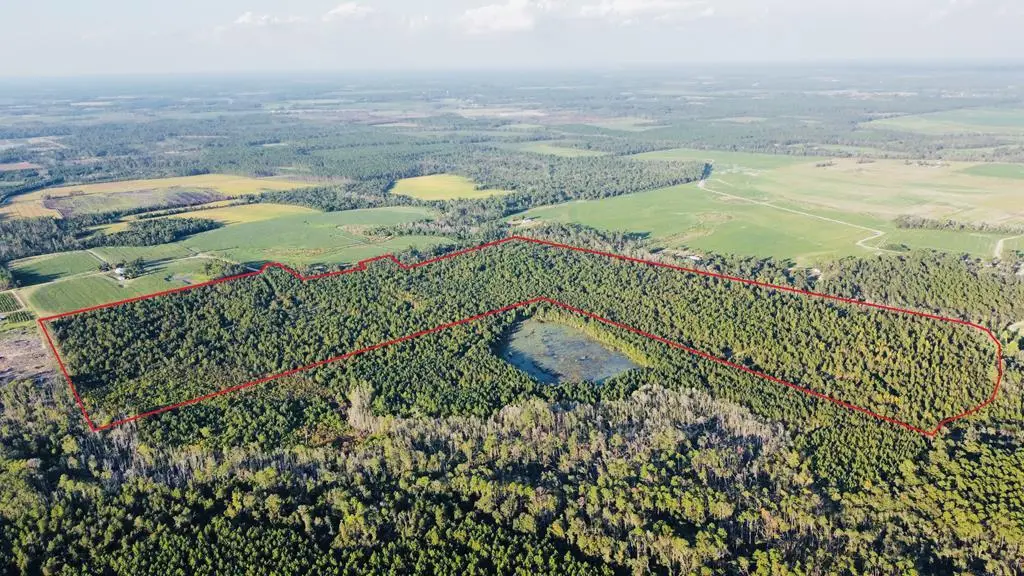 00 Herrington Rd, Hazlehurst, GA 31539 - Image #1