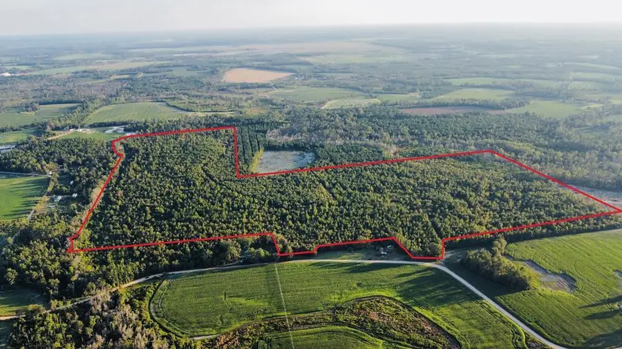 00 Herrington Rd, Hazlehurst, GA 31539 - Image #2