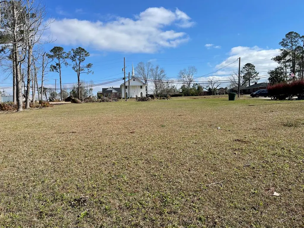 0 E Spring St, Mount Vernon, GA 30445 - #1