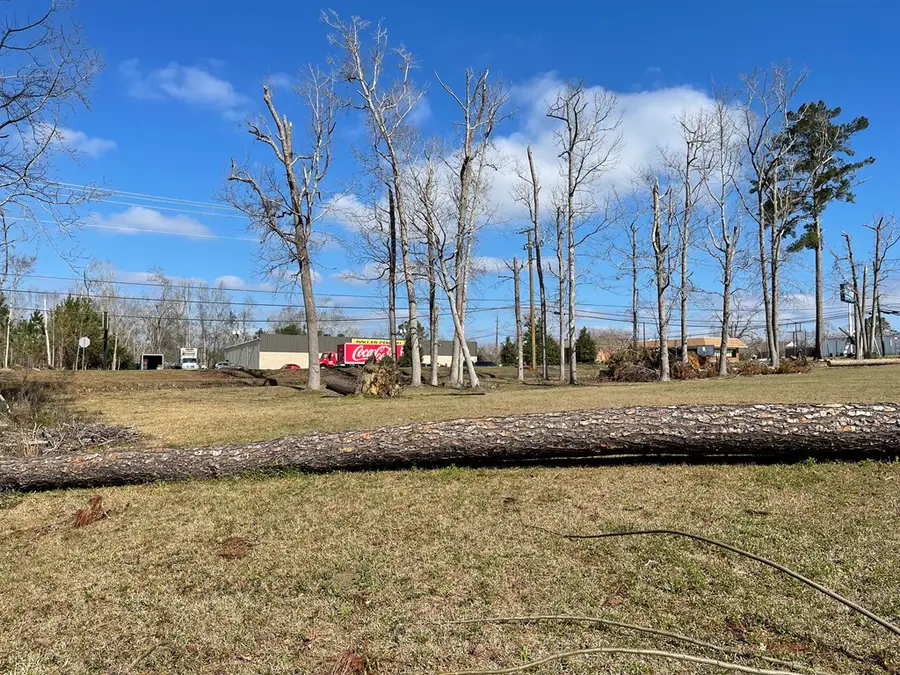 0 E Spring St, Mount Vernon, GA 30445 - #2