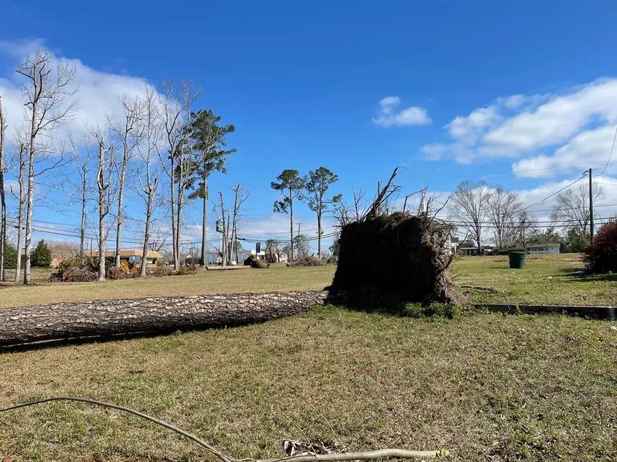 0 E Spring St, Mount Vernon, GA 30445 - #3