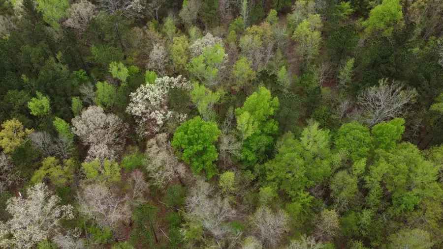 Lot #1 Frontier Shores Road, Sparta, GA 31087 - Image #3