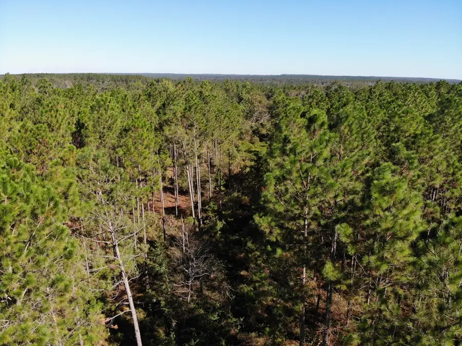 1701 E Golden Isles Highway, McRae-helena, GA 31055 - Image #3