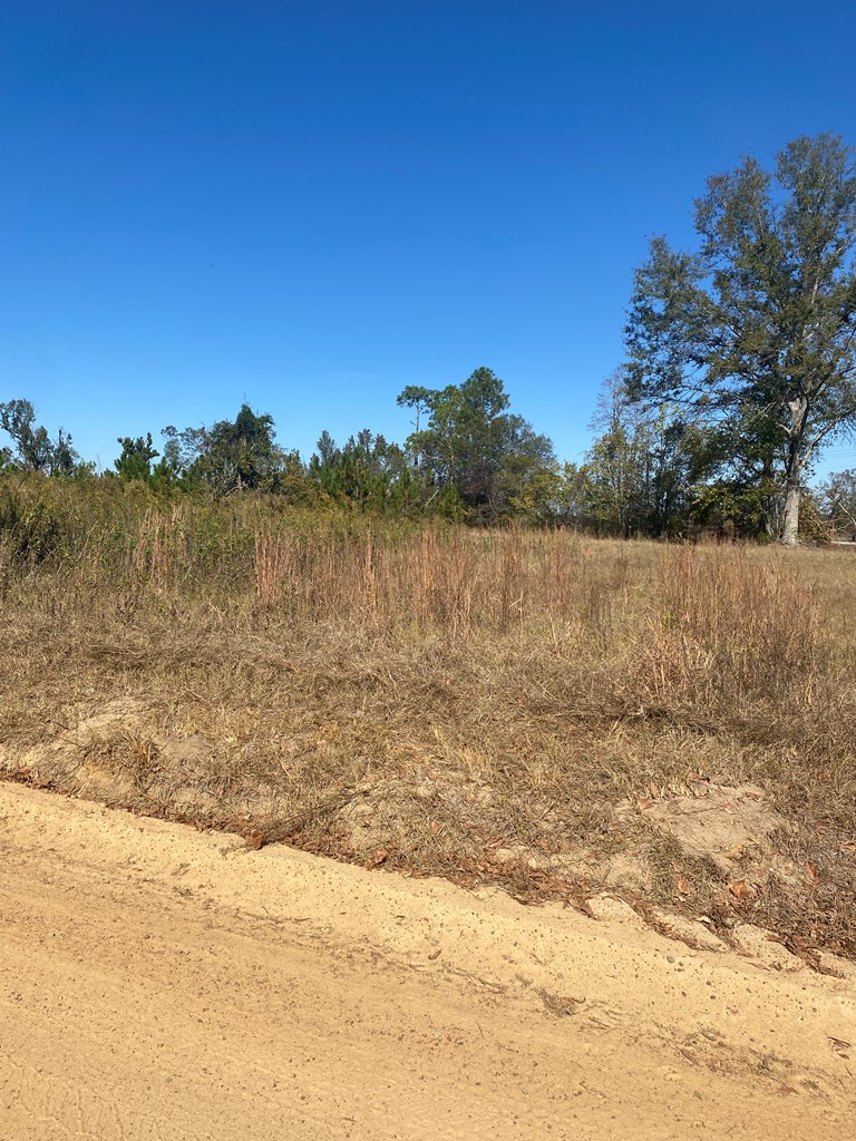 00 Thompson Pond Rd, Vidalia, GA 30474 - Image #3