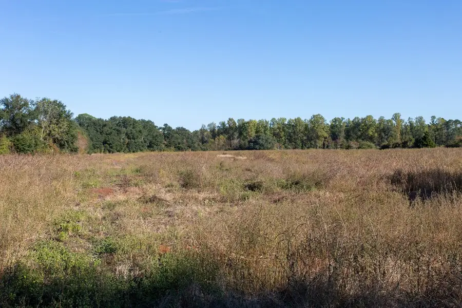 0 Gardner Rd, Baxley, GA 31513 - Image #3