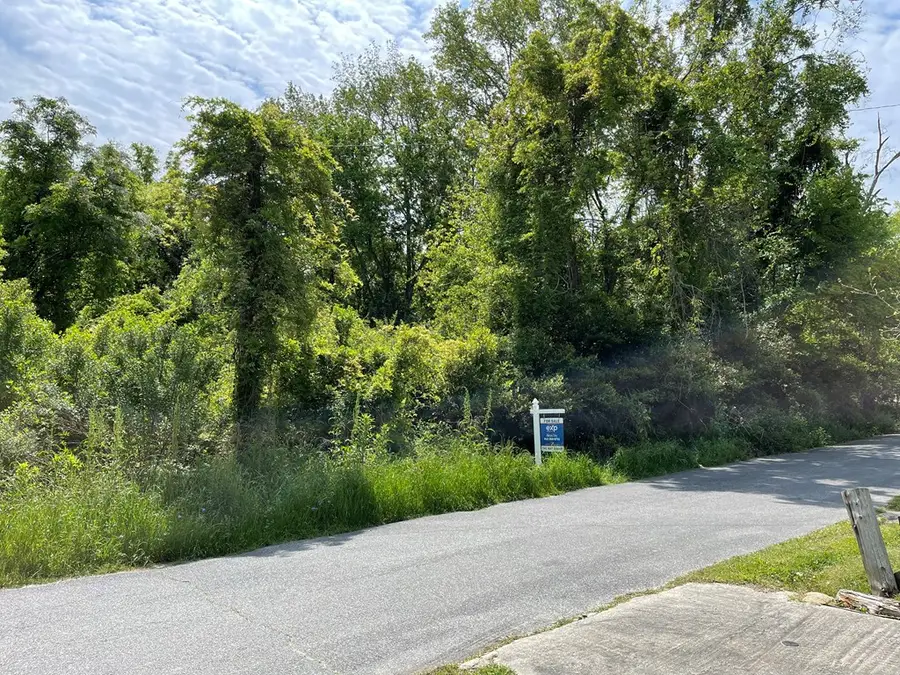 209 Lively St, Vidalia, GA 30474 - #2