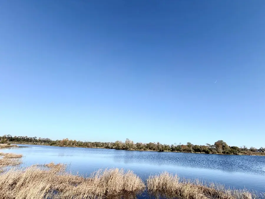 151 Lake Gloria Ln, Alma, GA 31510 - Image #3