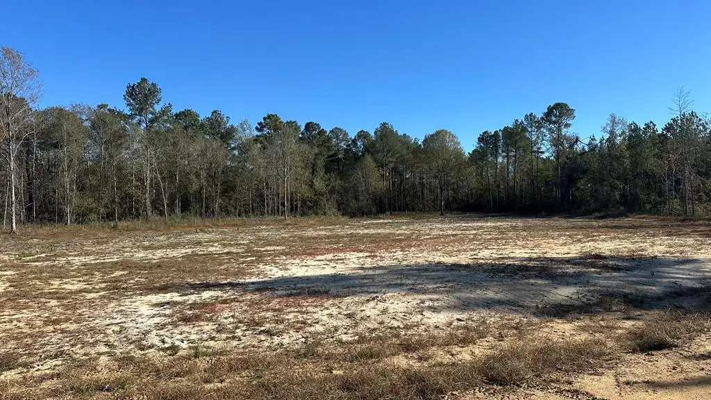 00 Simpson Rd., Lyons, GA 30436 - Image #1