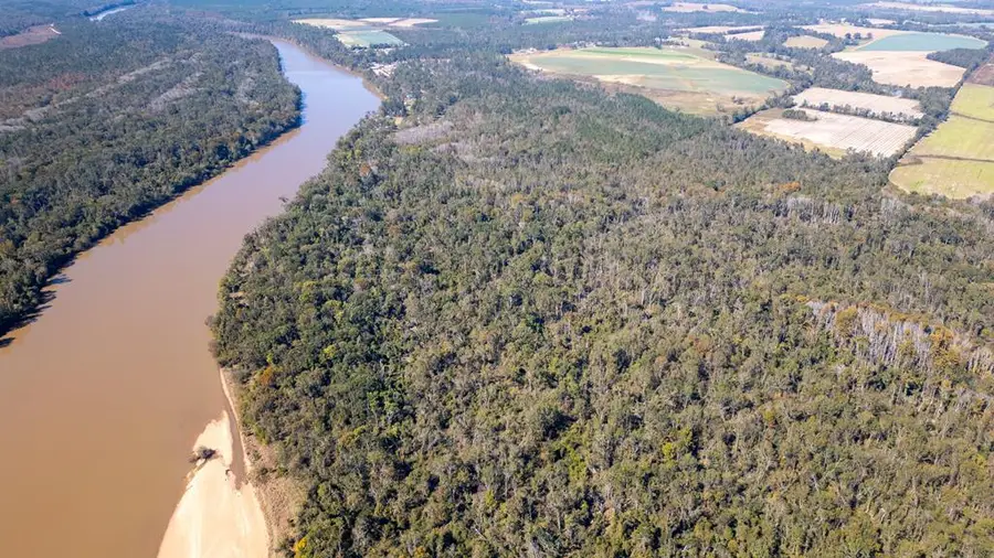 0 Grays Landing Rd, Uvalda, GA 30473 - #2