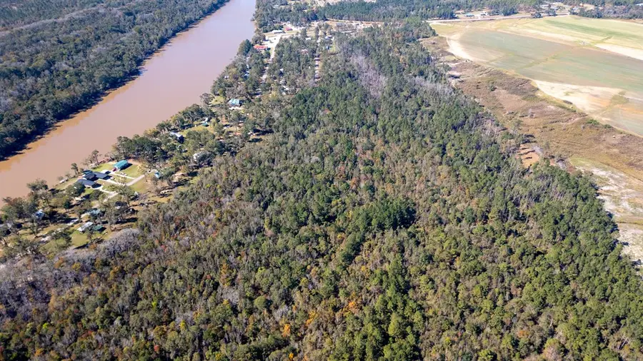 0 Grays Landing Rd, Uvalda, GA 30473 - #3