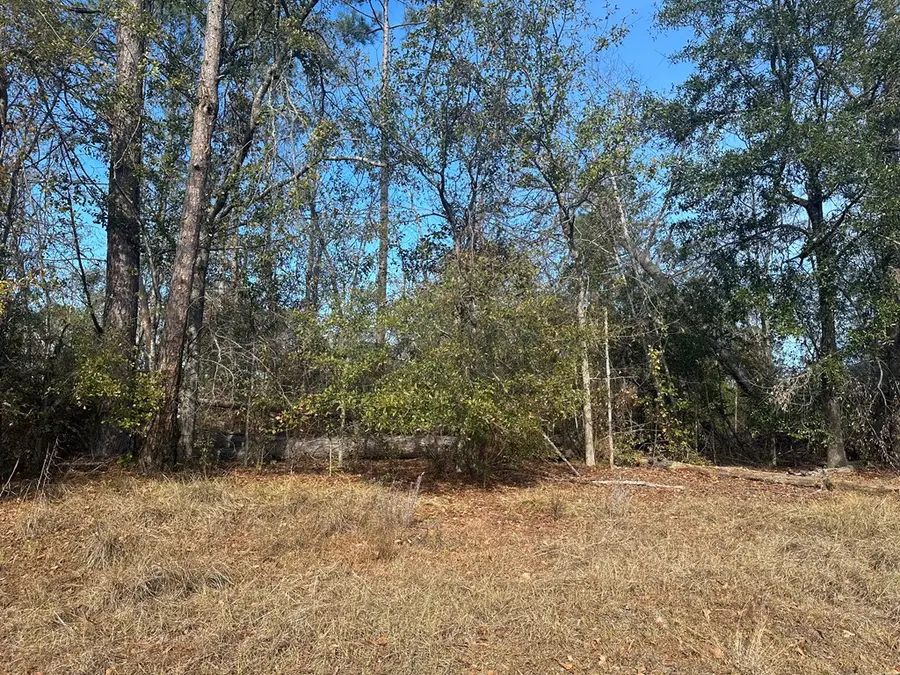 0 Tommie Drive, Vidalia, GA 30474 - Image #3