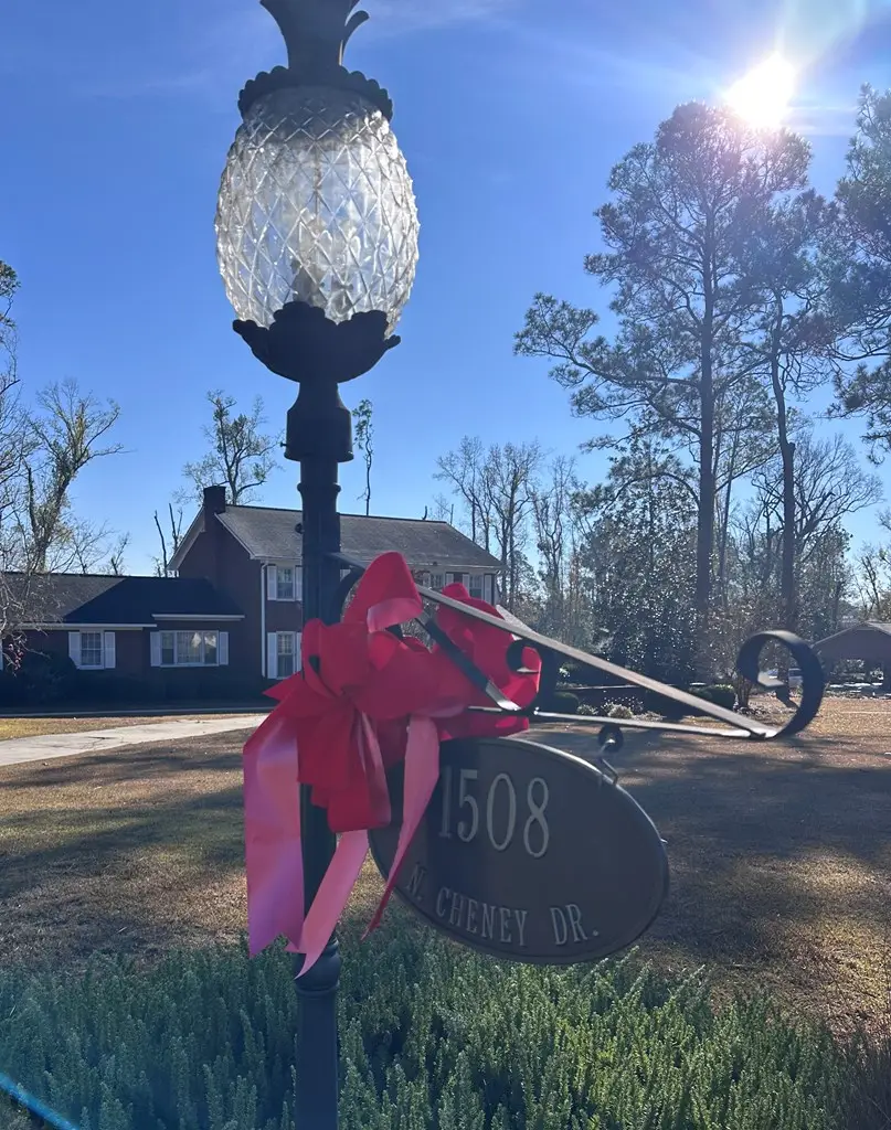 1508 N Cheney Drive, Vidalia, GA 30474 - Image #2