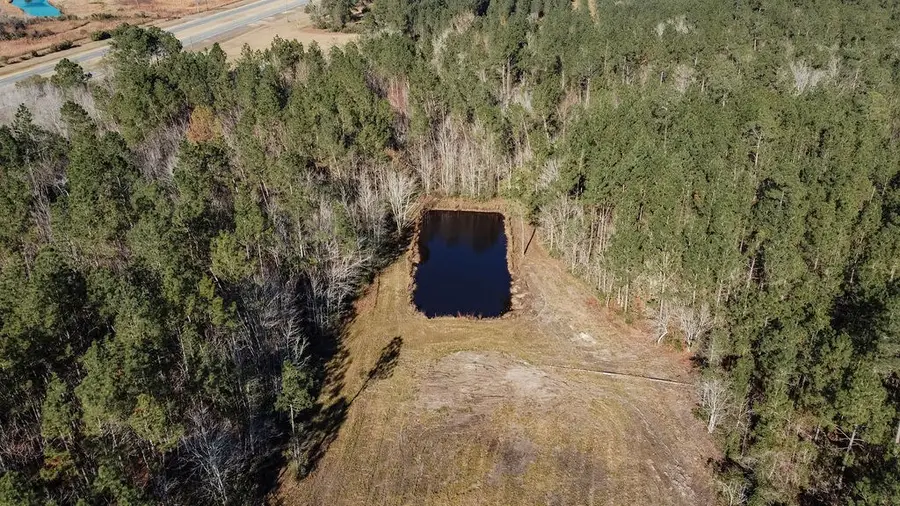 321 Mae Ln, Baxley, GA 31513 - Image #3