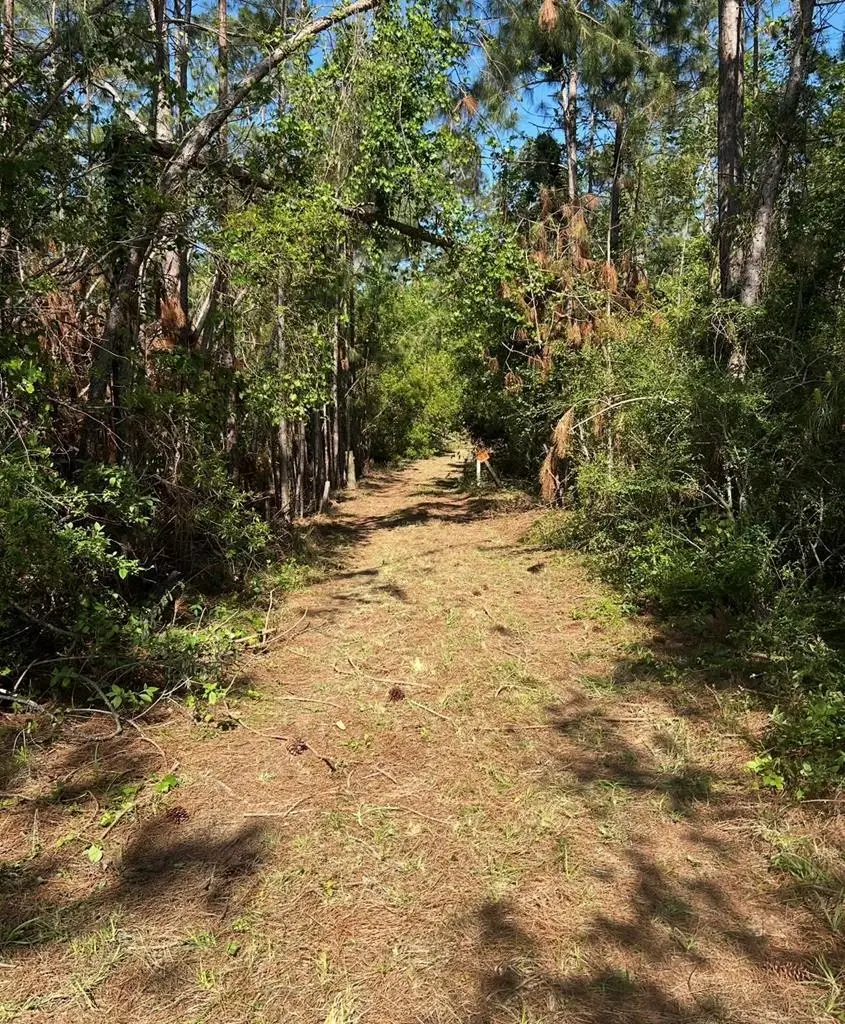 223 Spring Hill Road, Lyons, GA 30436 - Image #1