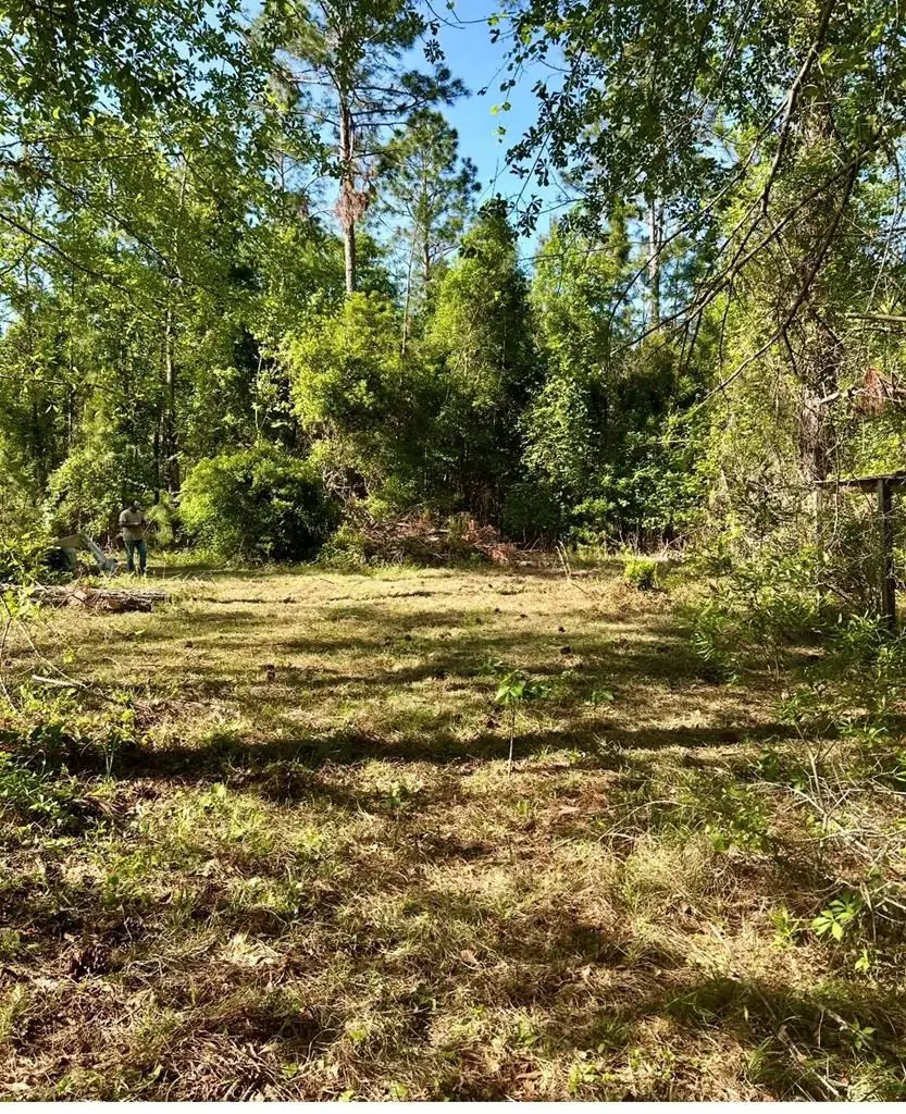 223 Spring Hill Road, Lyons, GA 30436 - Image #2